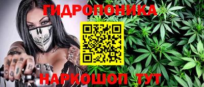Альфа ПВП Гусев
