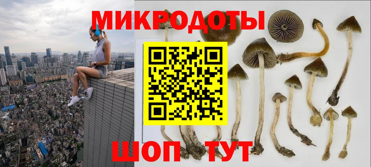 Псилоцибиновые грибы прущие грибы  Вход с VPN  Мичуринск 